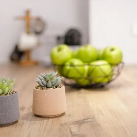 Little Bright - Corfu Old Town *