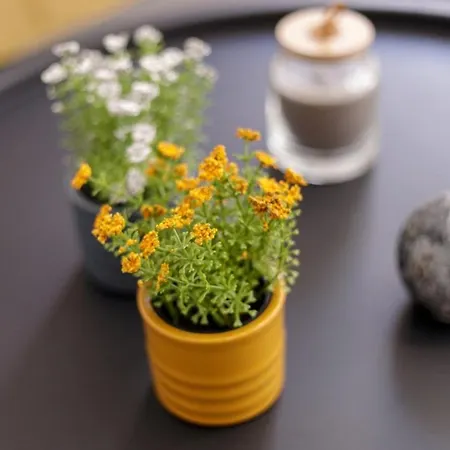 Little Bright - Corfu Old Town * Corfu (city)